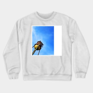 House of blues Crewneck Sweatshirt